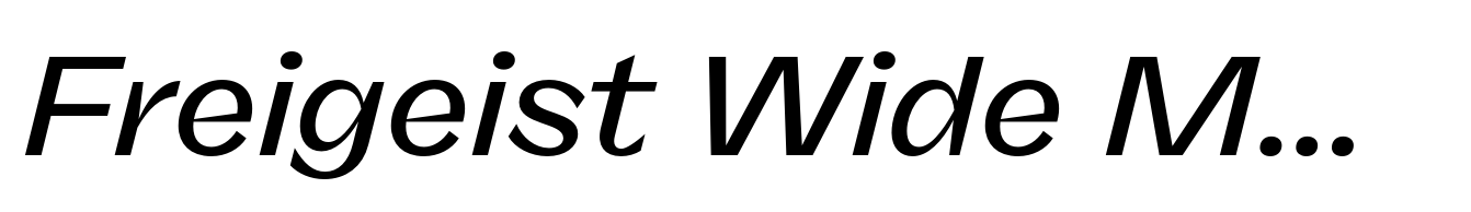 Freigeist Wide Medium Italic